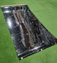 Rollo Placa Adhesiva ML F09 - TX042