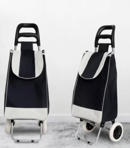 [EGSU-CART-FOLD] Carrito plegable de mano