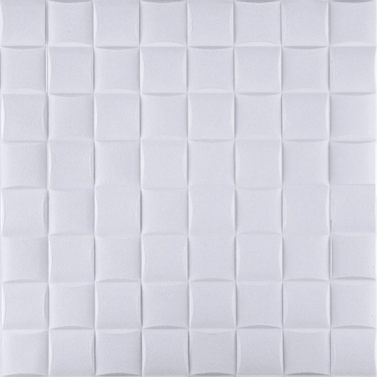 [369] PACK (X10) Lattice (Blanco)